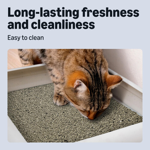 by Amazon Clumping Unscented Cat Litter with Active Carbon 10L (Pack 2
