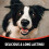 Rosewood Rosewood Steak Strips for Dogs - Made with Beef and Pollock, Grain Free Chews, H 6
