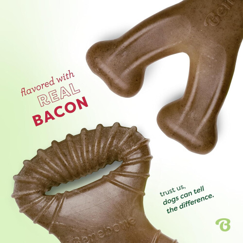 Benebone Tiny 2-Pack Dental Chew, Bacon Flavour 1
