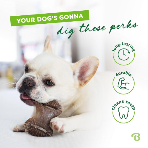 Benebone Tiny 2-Pack Dental Chew, Bacon Flavour 2