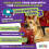 Outward Hound Nina Ottosson Interactive Dog Toys - Advanced Level 3 - 2