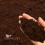Coco Coir Tortoise Substrate – Natural Coco Coir Compost for Reptiles, Tortoises 6