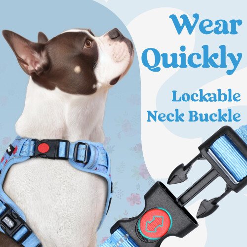 rabbitgoo Dog Harness Large Dog No Pull Pet Harness with 2 Leash 2