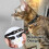 Cat Collar with Bell, Cat Collars with Quick Release, Reflective, 2