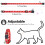 Cat Collar with Bell, Cat Collars with Quick Release, Reflective, 3