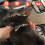 Cat Collar with Bell, Cat Collars with Quick Release, Reflective, 7