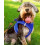Joytale Step in Dog Harness,Soft Mesh Reflective Breathable Vest 2