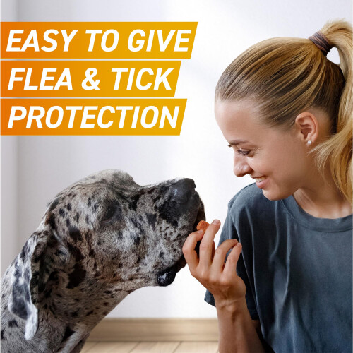 FRONTPRO Chewable Tablets Flea & Tick Treatment for Dogs 3 Pack 1