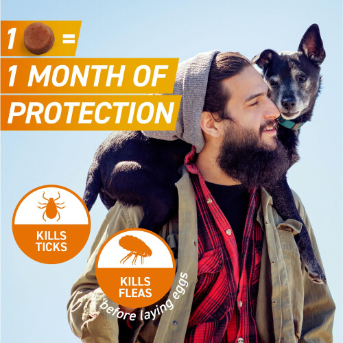 FRONTPRO Chewable Tablets Flea & Tick Treatment for Dogs 3 Pack 2