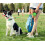 Taglory Retractable Dog Lead 5 m, Extendable Leash No-Tangle Heavy 2