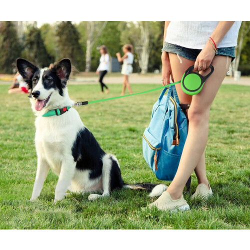 Taglory Retractable Dog Lead 5 m, Extendable Leash No-Tangle Heavy 1