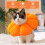Avont Cat Cone Collar Soft, Adjustable Pet Recovery Collar for Cats 2