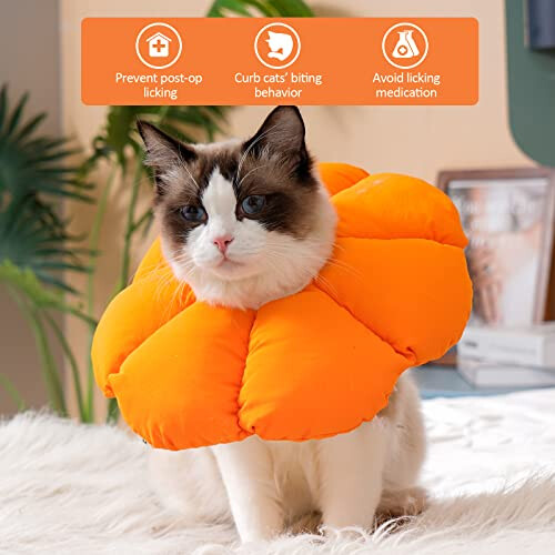 Avont Cat Cone Collar Soft, Adjustable Pet Recovery Collar for Cats 1