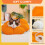Avont Cat Cone Collar Soft, Adjustable Pet Recovery Collar for Cats 5