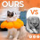 Avont Cat Cone Collar Soft, Adjustable Pet Recovery Collar for Cats 7