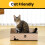 Conlun 5-Pack Cat Scratching Boards with Box, Large Reversible 6