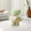 Cute Bear-shaped Towel Gifts 5