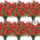Kunstige Silkeblomster Røde 24 Bundter UV-resistente 1