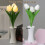 Φωτιστικό νυχτός LED σε σχήμα λουλουδιού Tulip με μπαταρία, ζεστό λευκό, για 2