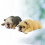 2Pièces Figurines Assorties Jouets Éducatifs Colorés 5
