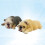 2Pièces Figurines Assorties Jouets Éducatifs Colorés 7
