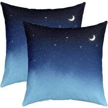 Galaxy kussenslopen 20x20 inch, set van 2, polyester