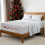 Extra Deep Full Sheets Set – Double-Brushed Microfiber, 1
