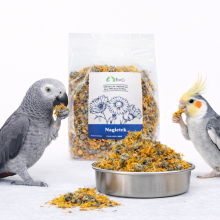Kwiatki Nagietka Dla Papug - Naturalny Dodatek Kwiatowy | 100 G