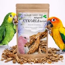 Premium Parrot Food | Ekologiczna Cykoria Korzeń  |Dodatek Do Pokarmu Dla Wszystkich Papug 50G