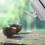 Stainless Steel Kettle 1.5L Silver 5