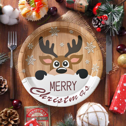 Brown Christmas Disposable Plates – 10 Pack