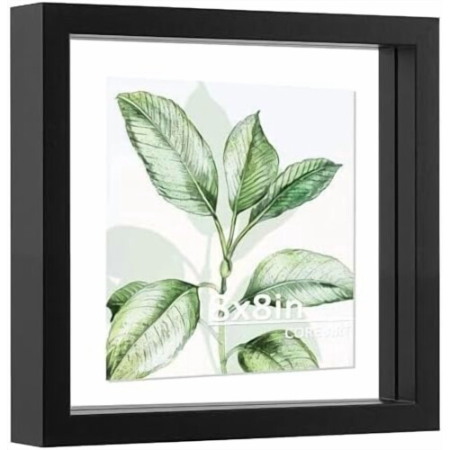 Floating Picture Frame Black 8x8 with Double Plexiglass