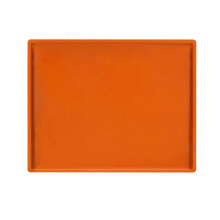 Silicone Dehydrator Sheets with Edge 12x11 Inch