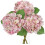 Pink Artificial Hydrangea Stems 18.8 in, 6 in Flower Head, 1