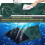 XXL spillmusematte 31,5 x 15,7 tommer 5