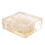 Turtle Bone Specimen for Biology Learning and Collector Display 3