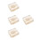 Turtle Bone Specimen for Biology Learning and Collector Display 4