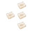 Turtle Bone Specimen for Biology Learning and Collector Display 8