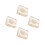 Turtle Bone Specimen for Biology Learning and Collector Display 10