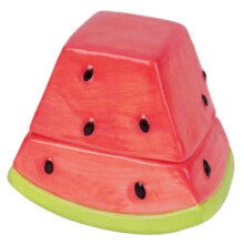 Watermelon Toothpick Dental Floss Box Toothpick Holder Toothpick Jar Storage Bottle Organizer Cotton Swab Storage Jars