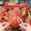 Stainless Steel Seafood Nut Picks 12PCS Shellfish Crab Set 8