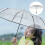 Guarda-chuva compacto grande com abertura e fechamento automáticos e transparentes. 2