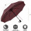 Windproof Compact Travel Umbrella, Automatic Folding, Portable for Men/Women/Teens – Wine Red 3