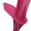 Electric Fence Poly Posts 1.6M X40 (Pink 160CM) 9