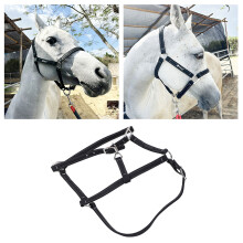 Bridon en nylon pour cheval réglable L 4,43-5,41 ft