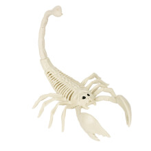 Squelettes d'animaux d'Halloween (chien, chauve-souris, grenouille, scorpion, araignée, serpent, rat) pour décoration de fête, maison hantée et