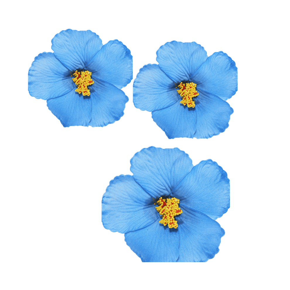 Unisex Blue 3 Pcs Flower Hair Clips,3.5" Eco-Friendly Eva Flower Clips For Hair,Tropical Hawaiian Style Flower Clips For Women,