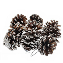 Christmas Tree Decorative Natural Pinecone Pine Nut Christmas Decoration 9 pcs/set (Silver)