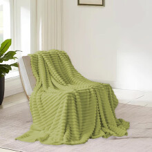 Throw Blanket for Couch, Soft and Thick Double Layer Throw Blanket, Lightweight Plush Fuzzy Luxury Winter Blanket Microfiber, Green