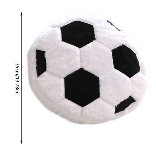 Sports Pillow Fluffy Soft Throw Pillow 1 Pack 1